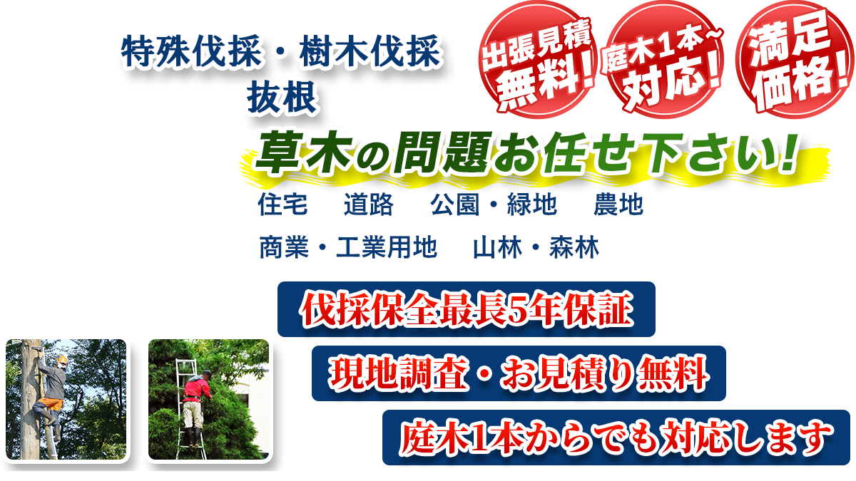 名古屋市守山区エリア即対応!! 出張無料! 庭木1本~対応! 満足価格! 植木剪定・生垣刈込 樹木伐採・伐根 草木の問題お任せ下さい! 住宅 道路 公園・緑地 農地 商業・工業用他 山林・森林 伐採保全最長5年保証 現地調査・お見積り無料 庭木1本からでも対応します